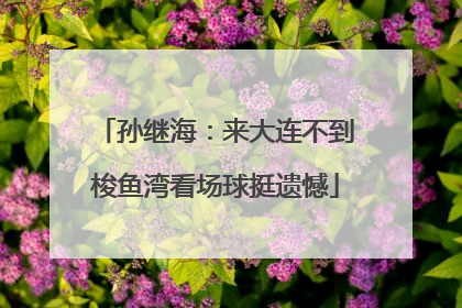 孙继海：来大连不到梭鱼湾看场球挺遗憾