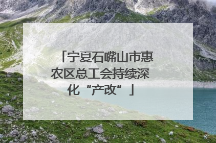 宁夏石嘴山市惠农区总工会持续深化“产改”