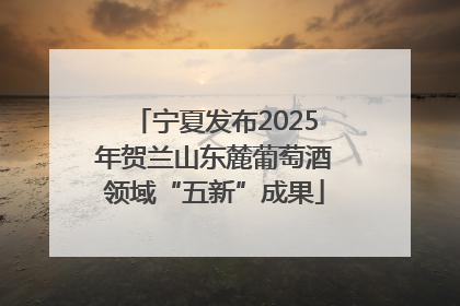 宁夏发布2025年贺兰山东麓葡萄酒领域“五新”成果