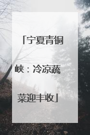 宁夏青铜峡：冷凉蔬菜迎丰收