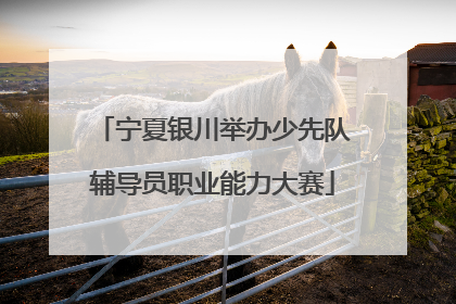 宁夏银川举办少先队辅导员职业能力大赛