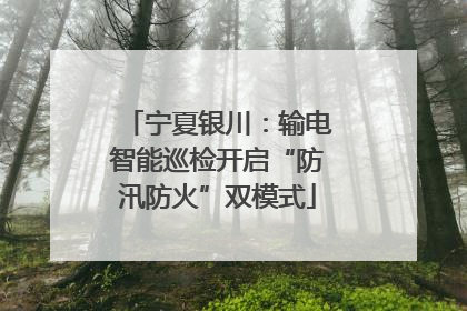 宁夏银川：输电智能巡检开启“防汛防火”双模式