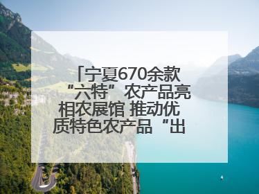 宁夏670余款“六特”农产品亮相农展馆 推动优质特色农产品“出宁进京”