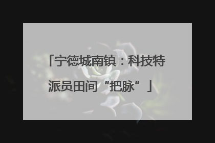 宁德城南镇：科技特派员田间“把脉”