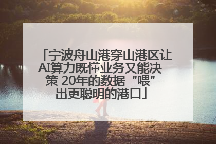 宁波舟山港穿山港区让AI算力既懂业务又能决策 20年的数据“喂”出更聪明的港口