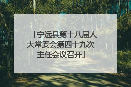 宁远县第十八届人大常委会第四十九次主任会议召开