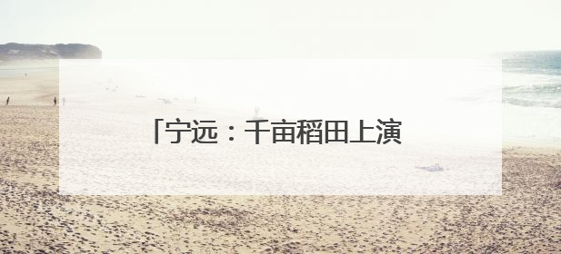 宁远：千亩稻田上演 “智慧种田” 升级