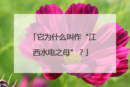 它为什么叫作“江西水电之母”？