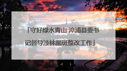 守好绿水青山 漳浦县委书记督导涉林图斑整改工作