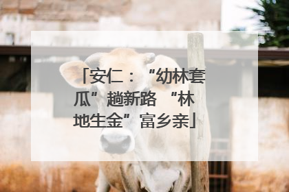 安仁：“幼林套瓜”趟新路 “林地生金”富乡亲