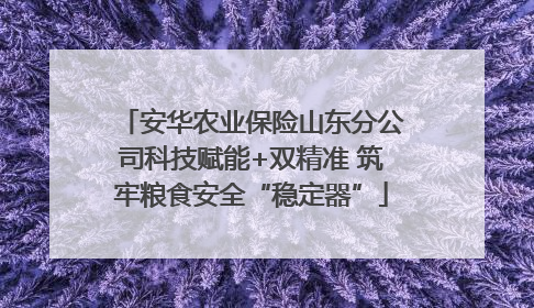 安华农业保险山东分公司科技赋能+双精准 筑牢粮食安全“稳定器”