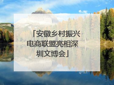 安徽乡村振兴电商联盟亮相深圳文博会