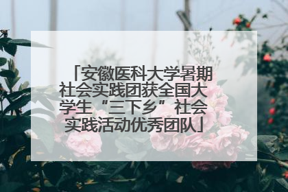 安徽医科大学暑期社会实践团获全国大学生“三下乡”社会实践活动优秀团队