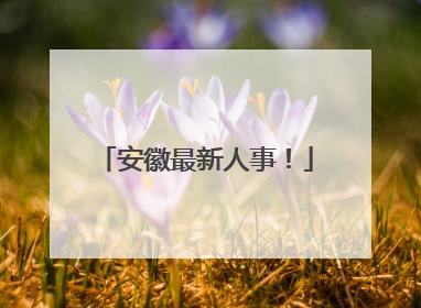 安徽最新人事！