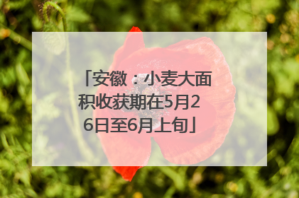 安徽：小麦大面积收获期在5月26日至6月上旬