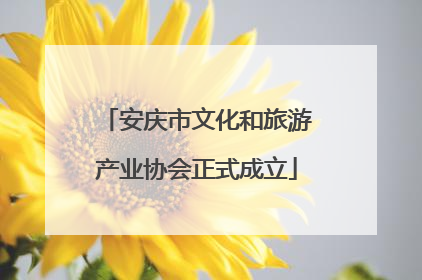 安庆市文化和旅游产业协会正式成立