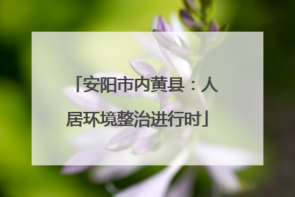 安阳市内黄县：人居环境整治进行时