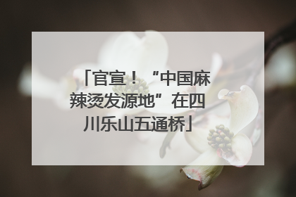 官宣！“中国麻辣烫发源地”在四川乐山五通桥