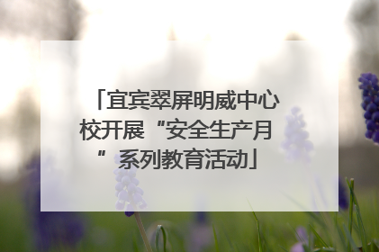 宜宾翠屏明威中心校开展“安全生产月”系列教育活动