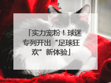 实力宠粉！球迷专列开出“足球狂欢”新体验