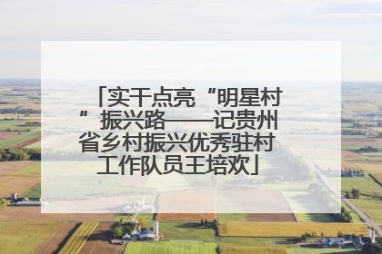 实干点亮“明星村”振兴路——记贵州省乡村振兴优秀驻村工作队员王培欢