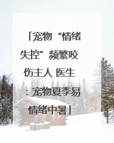 宠物“情绪失控”频繁咬伤主人 医生：宠物夏季易情绪中暑
