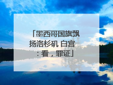墨西哥国旗飘扬洛杉矶 白宫：看，罪证