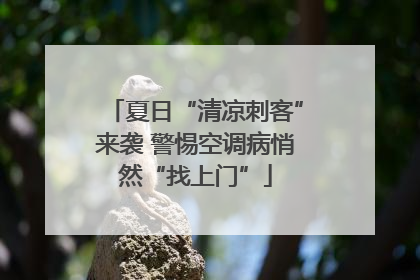 夏日“清凉刺客”来袭 警惕空调病悄然“找上门”