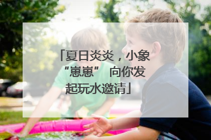 夏日炎炎，小象“崽崽” 向你发起玩水邀请