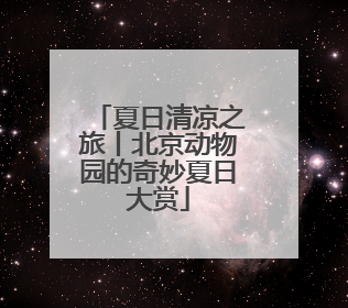 夏日清凉之旅丨北京动物园的奇妙夏日大赏