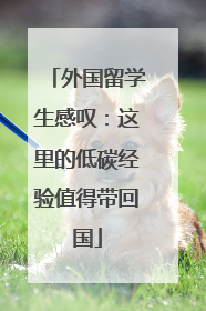 外国留学生感叹：这里的低碳经验值得带回国