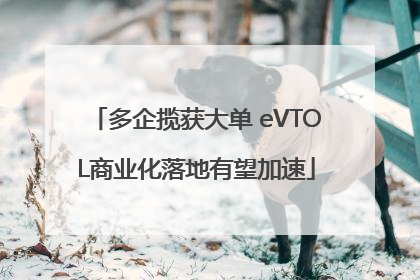 多企揽获大单 eVTOL商业化落地有望加速