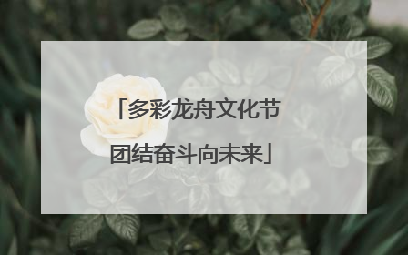 多彩龙舟文化节 团结奋斗向未来