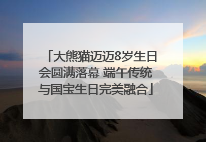 大熊猫迈迈8岁生日会圆满落幕 端午传统与国宝生日完美融合