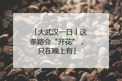 大武汉一日丨这条路会“开花”，只在晚上有