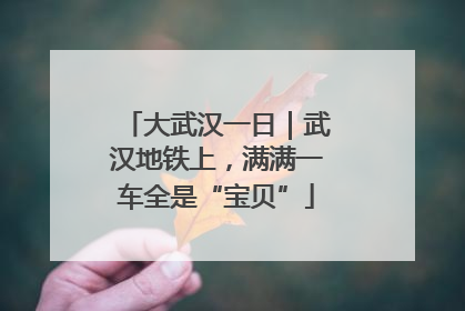 大武汉一日｜武汉地铁上，满满一车全是“宝贝”
