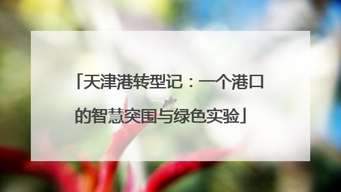 天津港转型记：一个港口的智慧突围与绿色实验