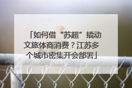如何借“苏超”撬动文旅体商消费？江苏多个城市密集开会部署