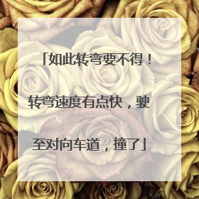 如此转弯要不得！转弯速度有点快，驶至对向车道，撞了