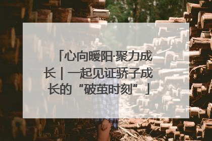 心向暖阳·聚力成长｜一起见证骄子成长的“破茧时刻”