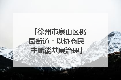 徐州市泉山区桃园街道：以协商民主赋能基层治理