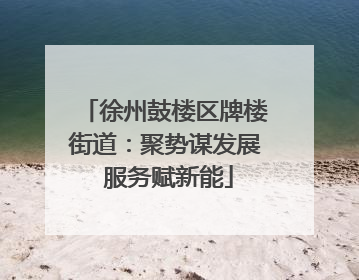 徐州鼓楼区牌楼街道：聚势谋发展 服务赋新能