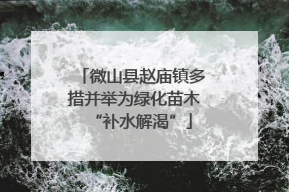 微山县赵庙镇多措并举为绿化苗木“补水解渴”