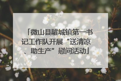 微山县驩城镇第一书记工作队开展“送清凉、助生产”慰问活动