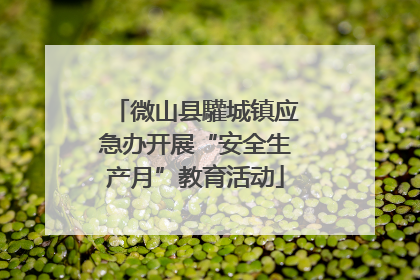 微山县驩城镇应急办开展“安全生产月”教育活动