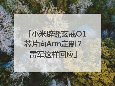小米辟谣玄戒O1芯片向Arm定制？雷军这样回应
