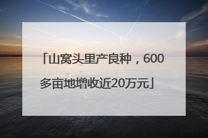 山窝头里产良种，600多亩地增收近20万元