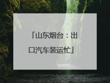 山东烟台：出口汽车装运忙