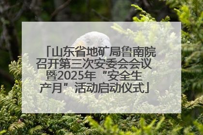 山东省地矿局鲁南院召开第三次安委会会议暨2025年“安全生产月”活动启动仪式