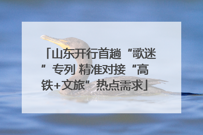 山东开行首趟“歌迷”专列 精准对接“高铁+文旅”热点需求